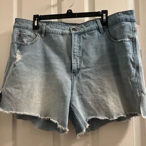 Terra & Sky Light Blue Jean Shorts